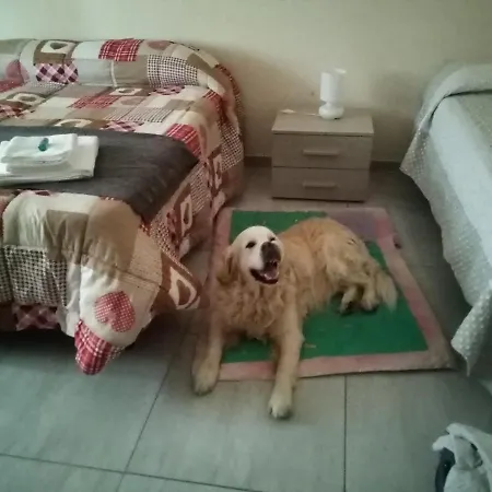 Affittacamere Noemi Livia Oda ve Kahvaltı *